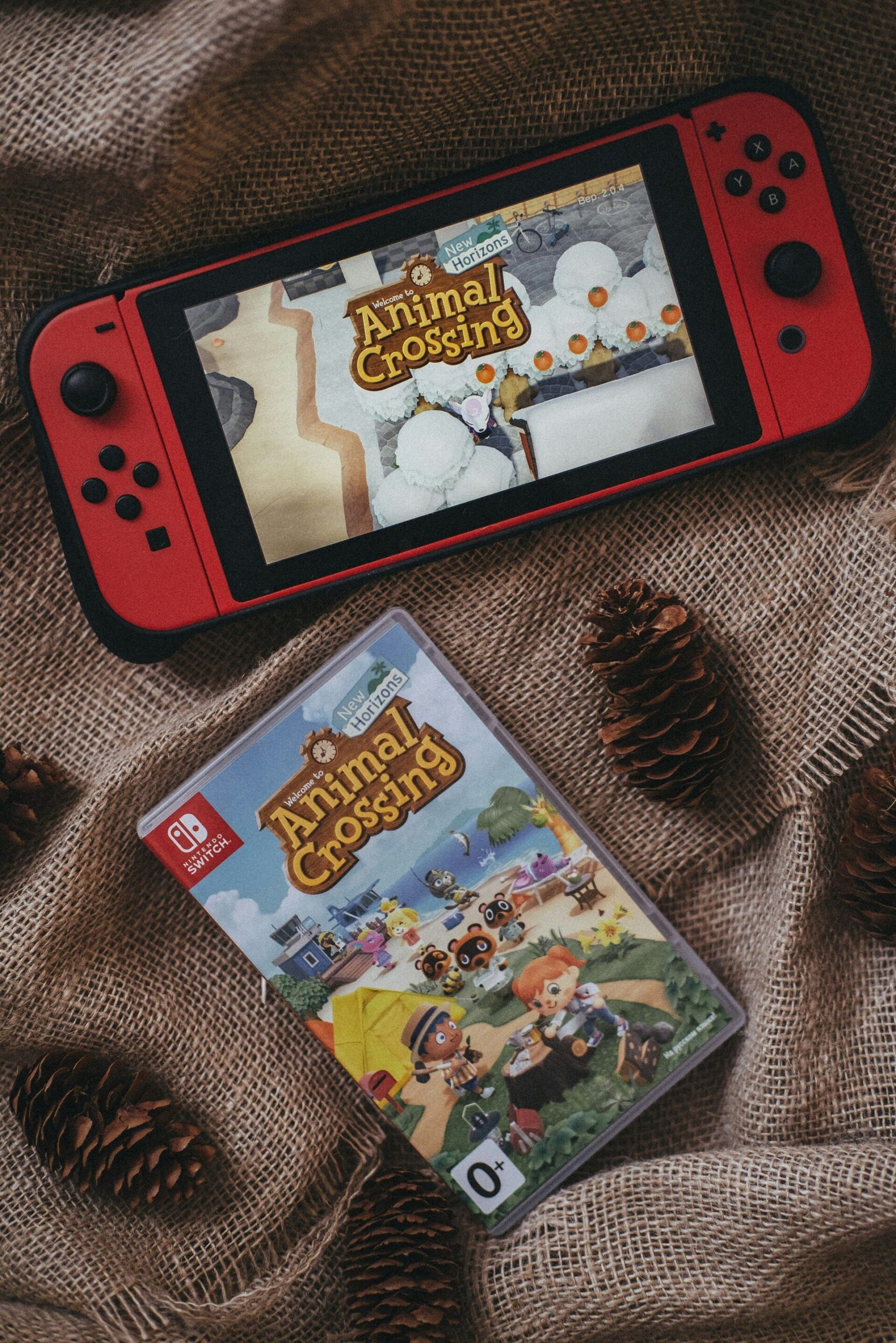 Animal Crossing New Horizons ist ein tolles Spiel für die Nintendo Switch